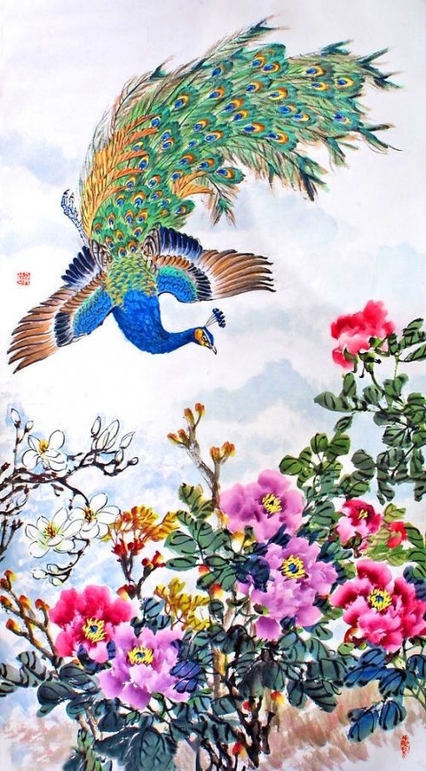 peacock