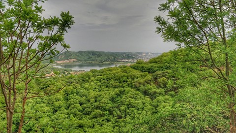 Nature's beauty