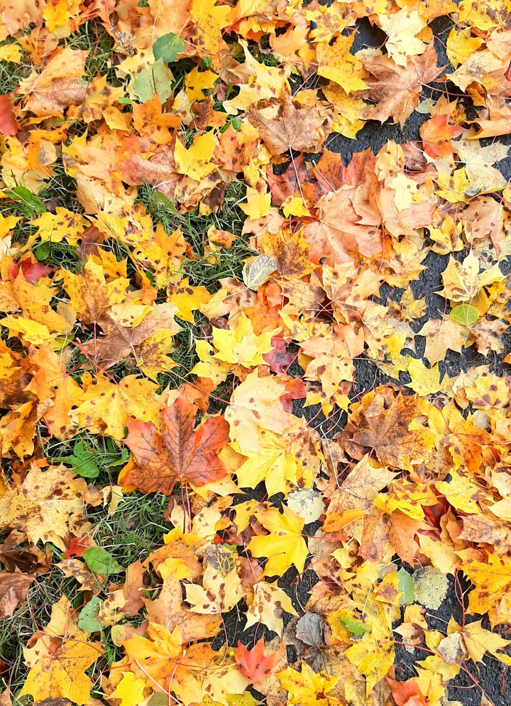 Autumn