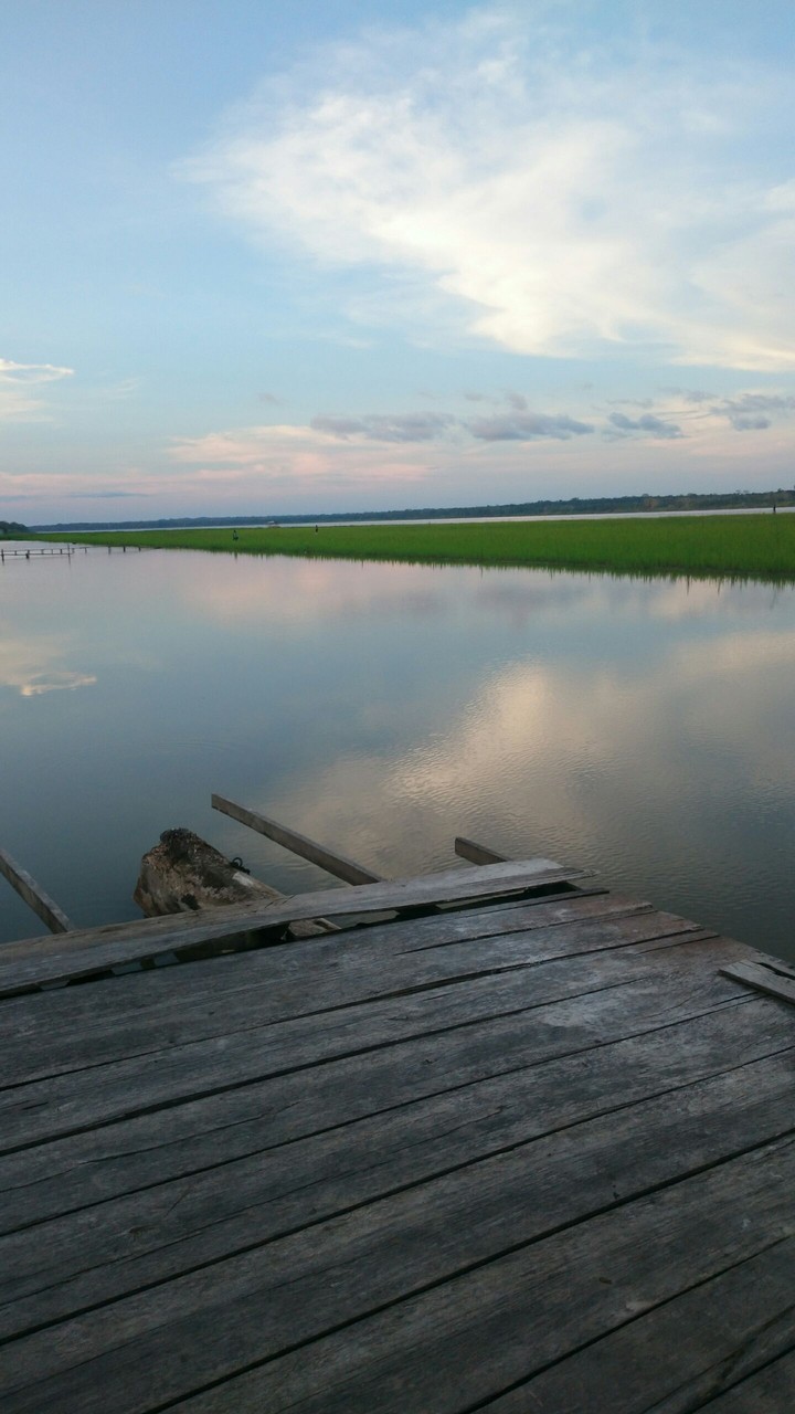 late afternoon in the Amazon