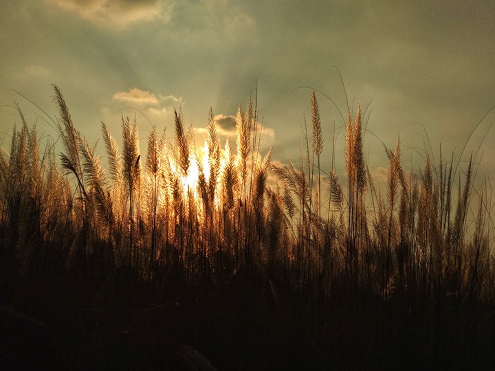 sunset