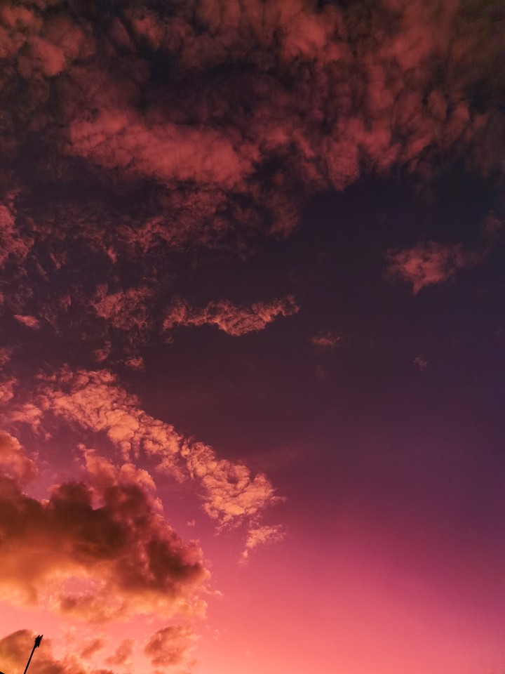 Pink skies