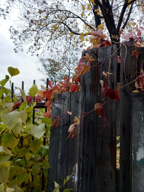Fence