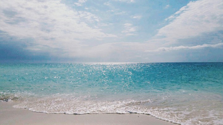 mare