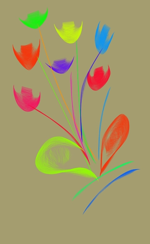 my drawing