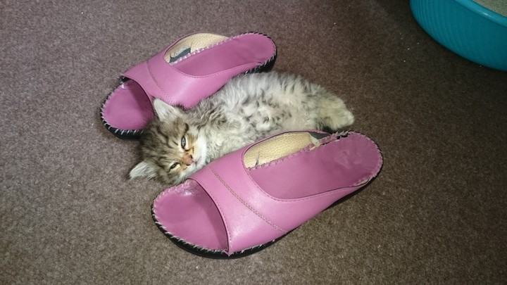 when she was small girl ?