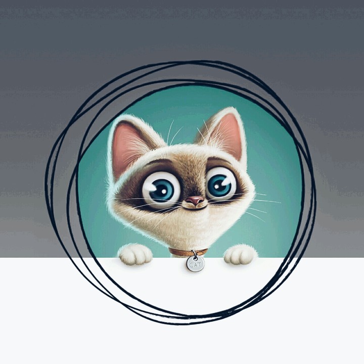 Gato