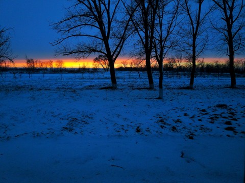 Winter