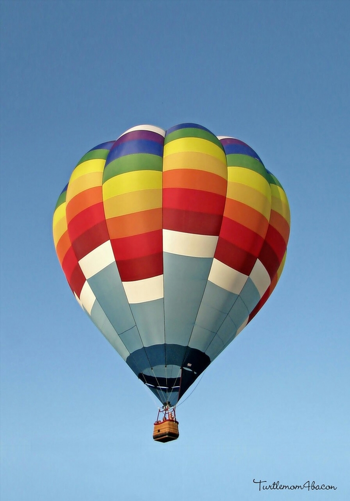 Balloon Fest at New Smyrna Beach Airport