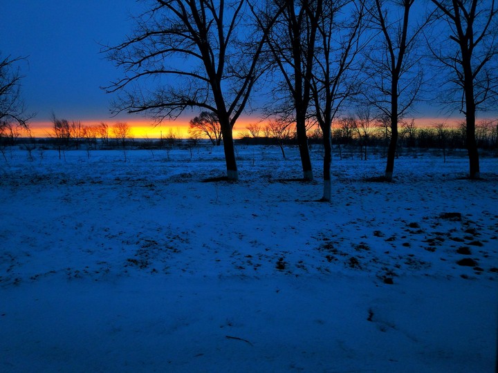Winter
