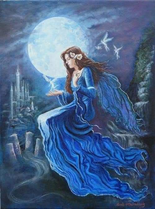 fantacy fairy