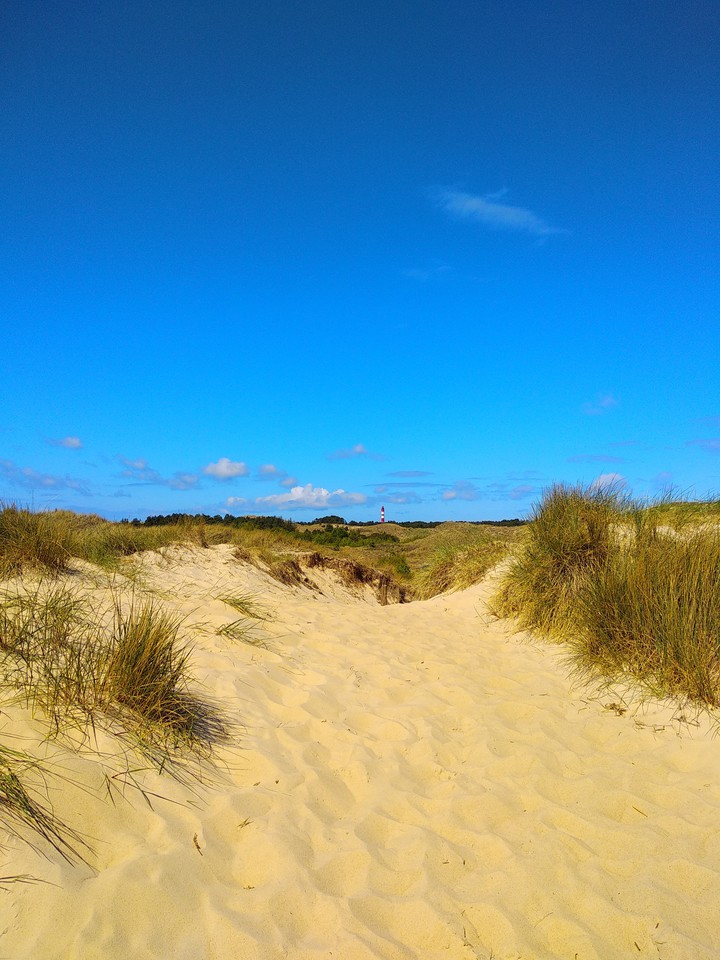Insel Amrum