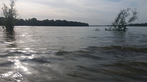 River Dunav