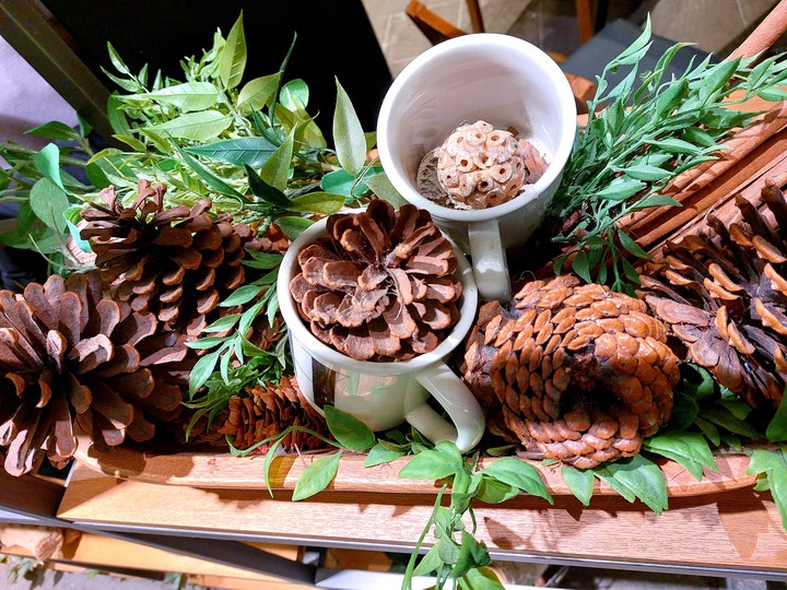 pine cone