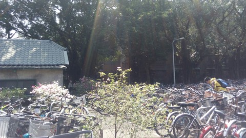 NTU