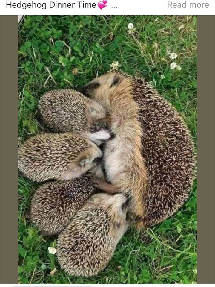 .