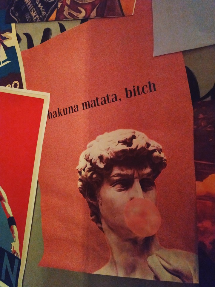 hakuna matata, bitch
