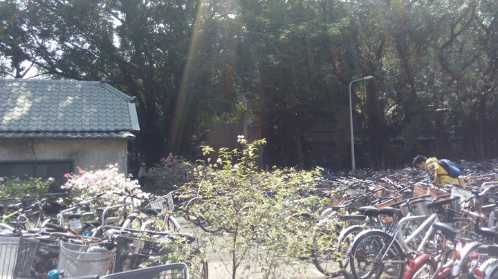 NTU