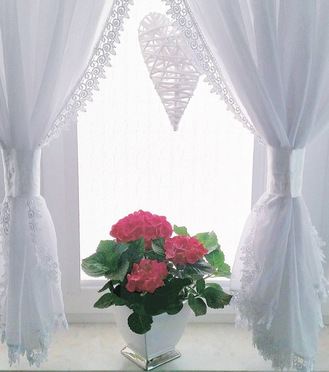 Window