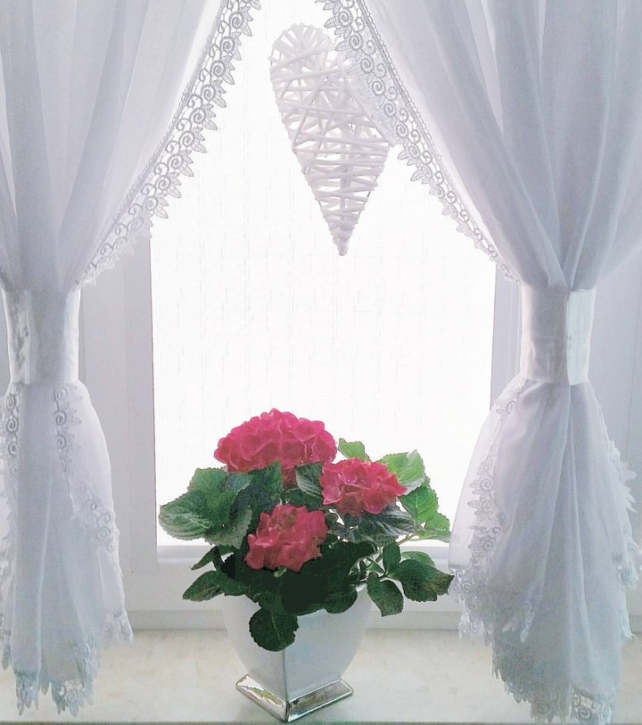 Window