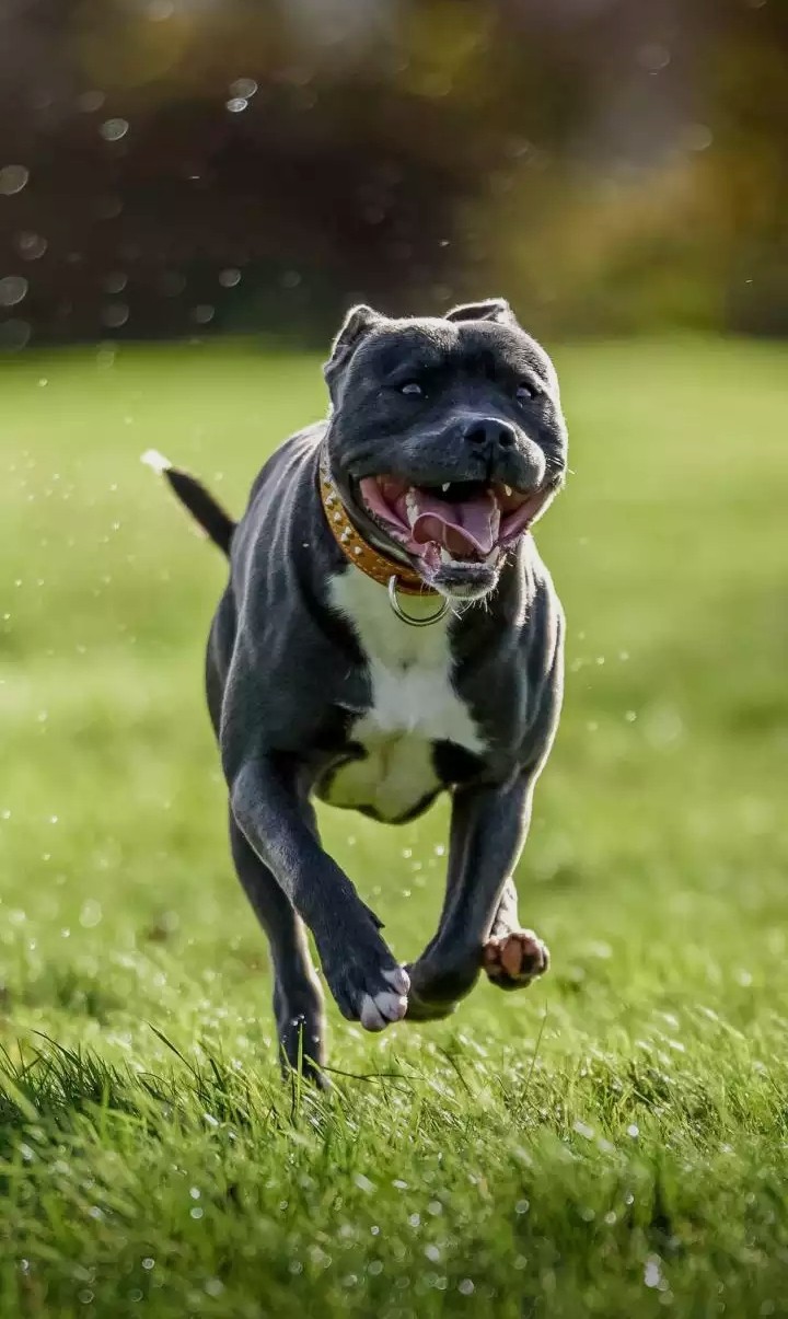 ☺