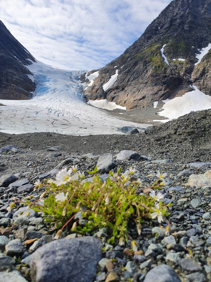 Steindalsbreen, Norway