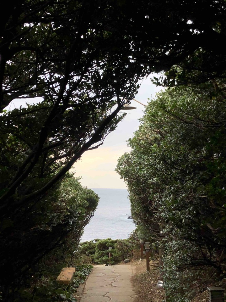 한반도