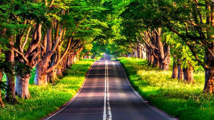 ....La strada....