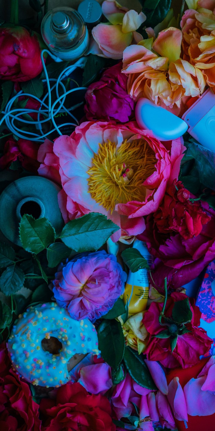 petal, pink háttérképek
