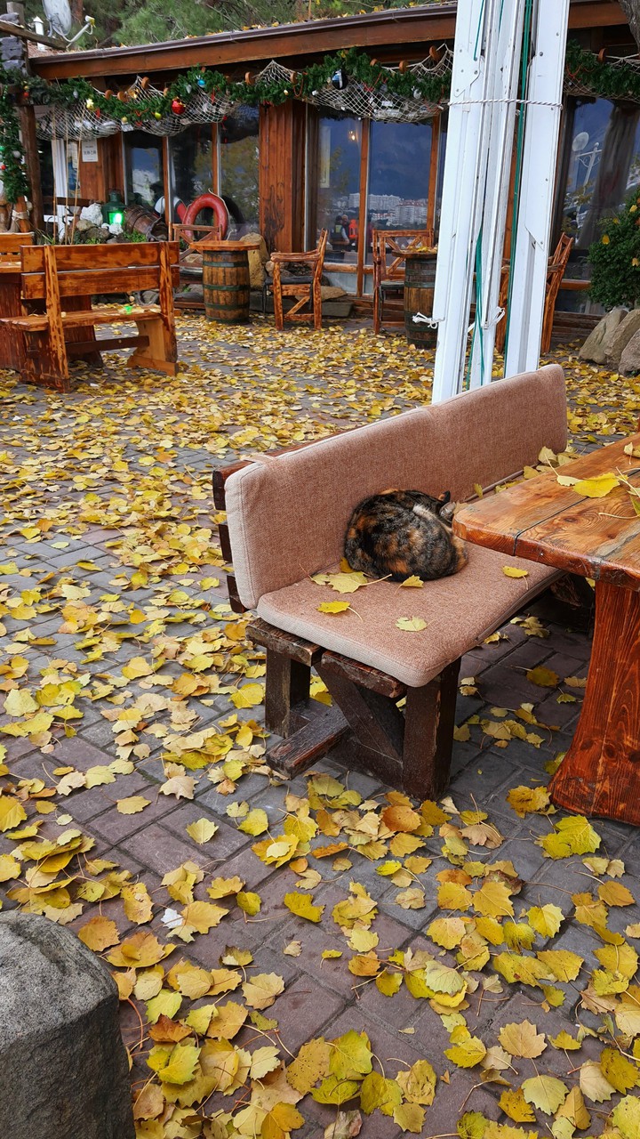 КМА. Межсезонье