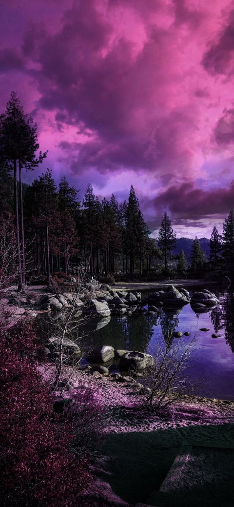 purple, violet duvar kağıtları