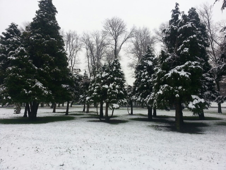parco Forlanini