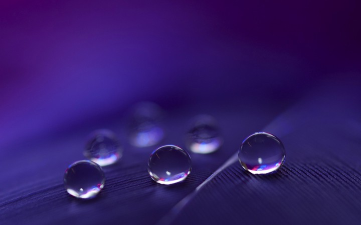 drops