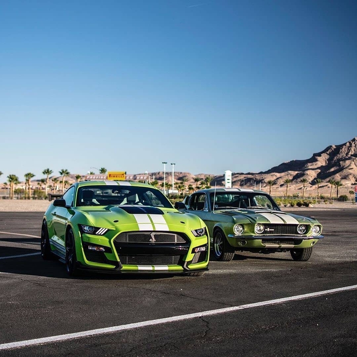 shelby
