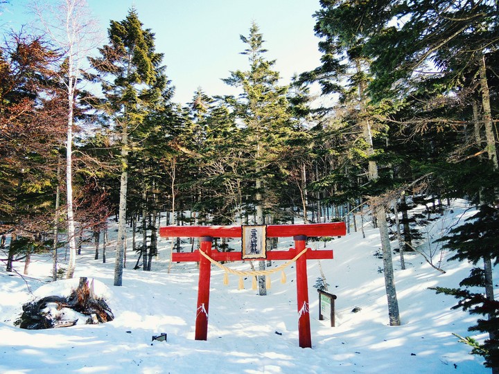 Nikko Shirane