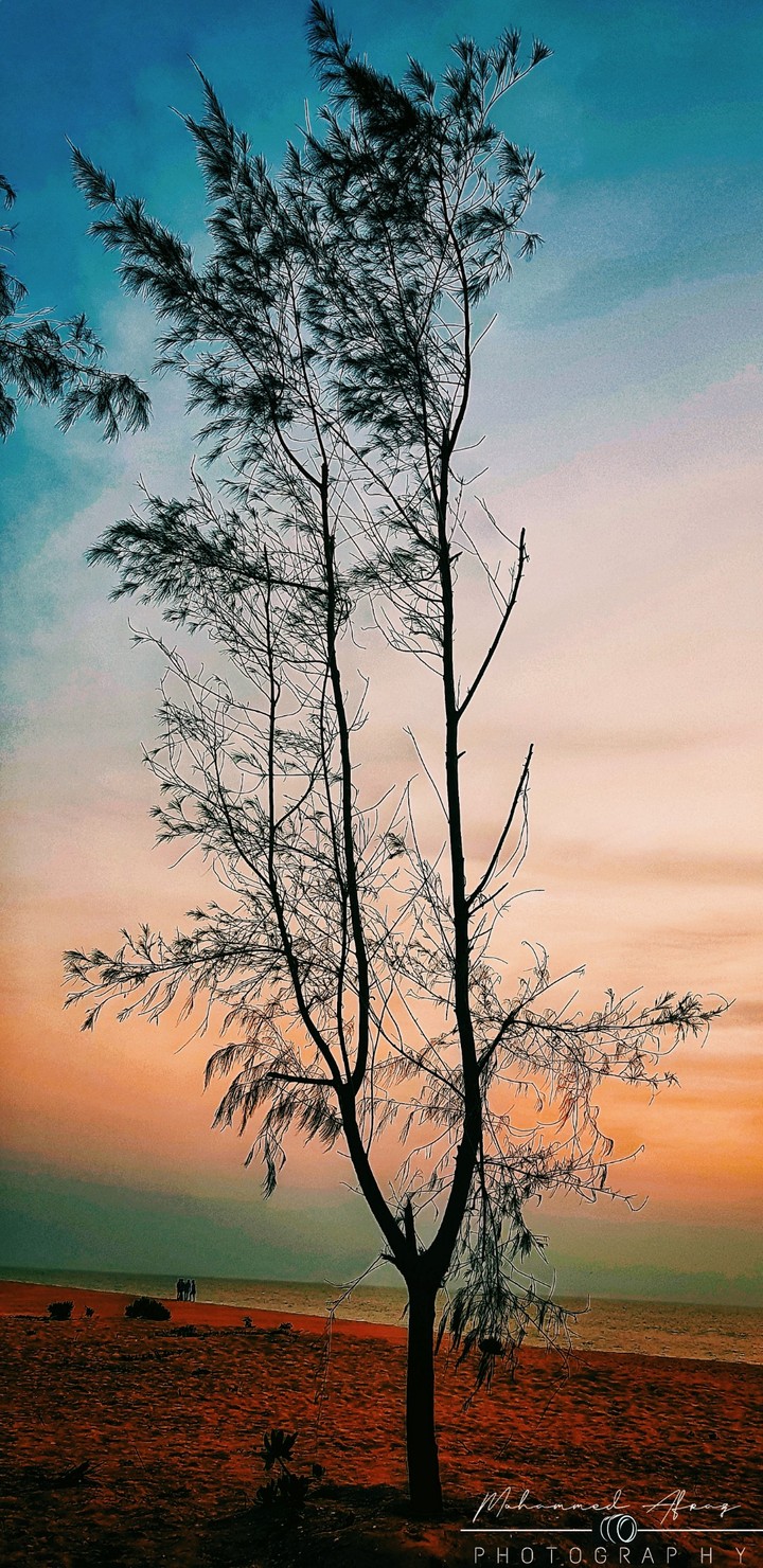 DUSK