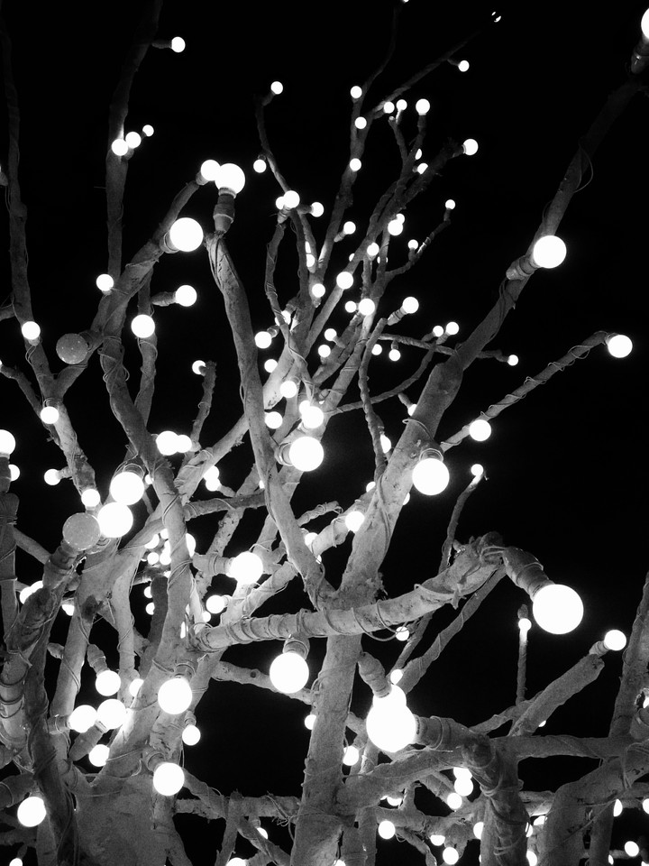 Tree of light