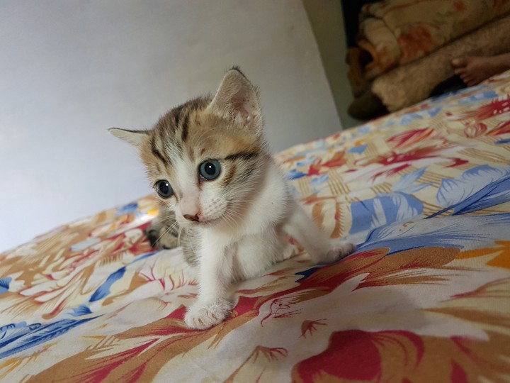 my honey