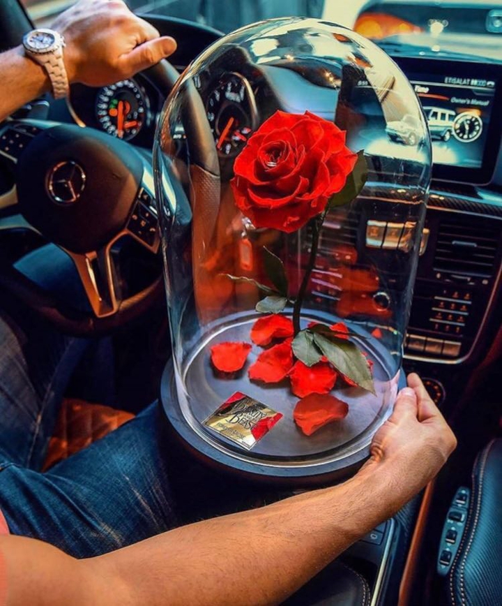 luxury gift