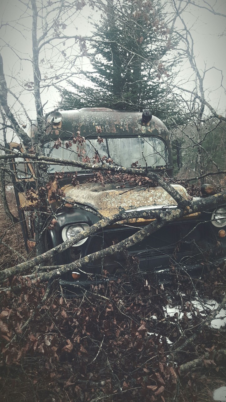 Chevy Bus