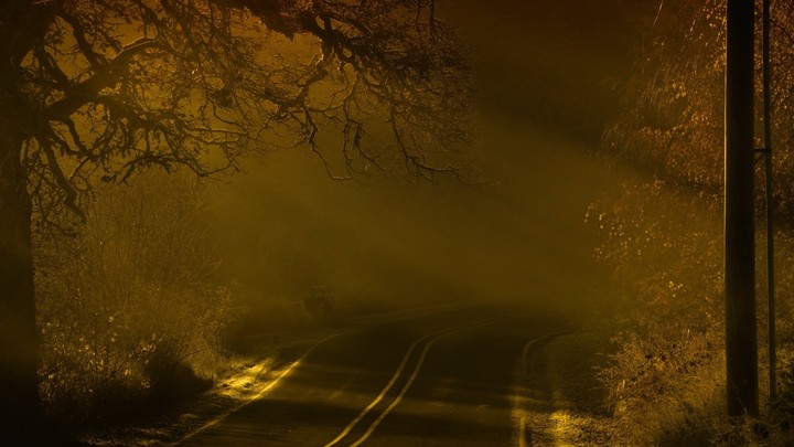 fog