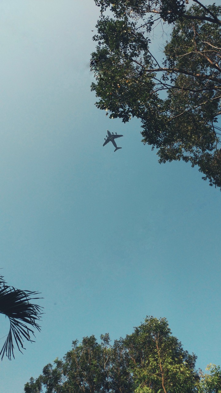 Plane