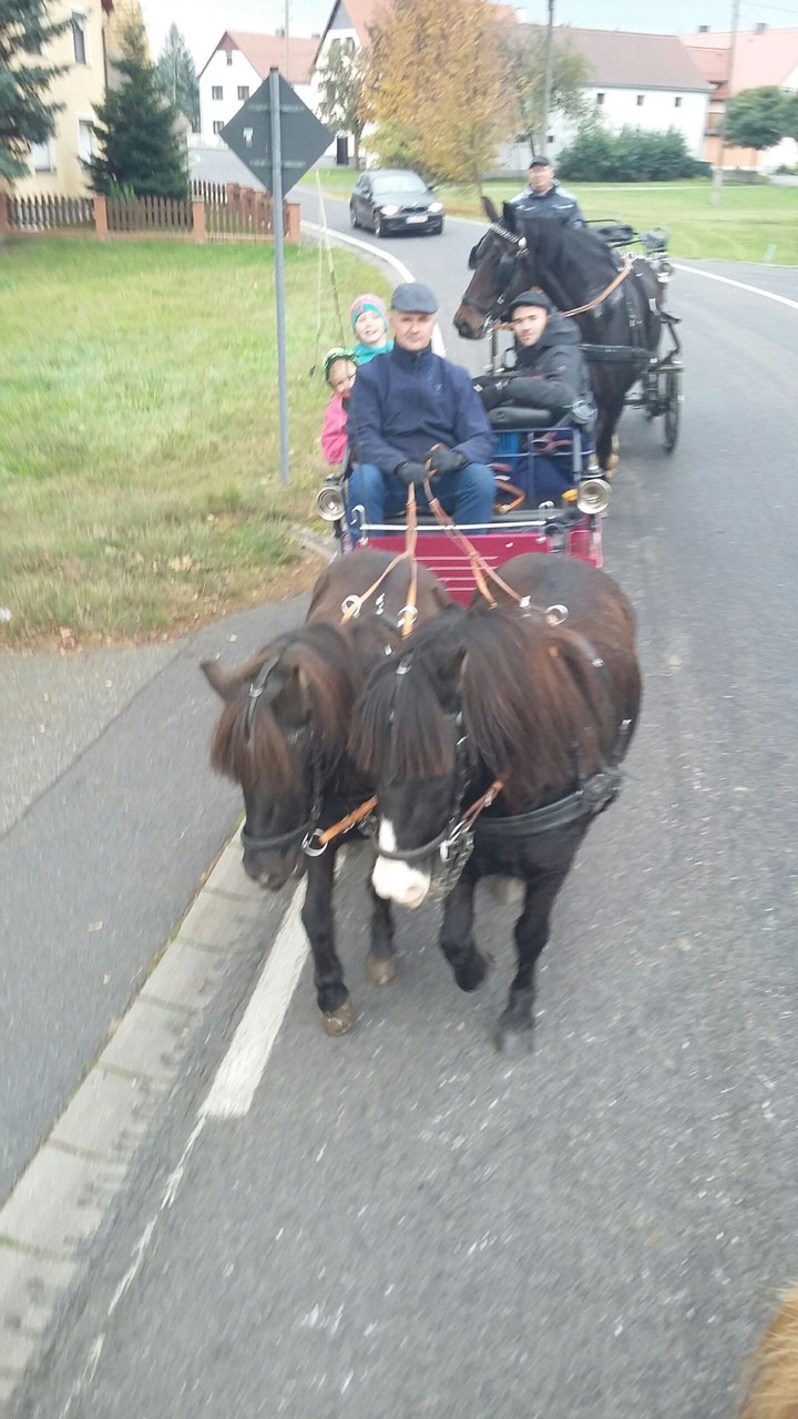 2 pony s