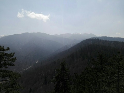 Carpathians