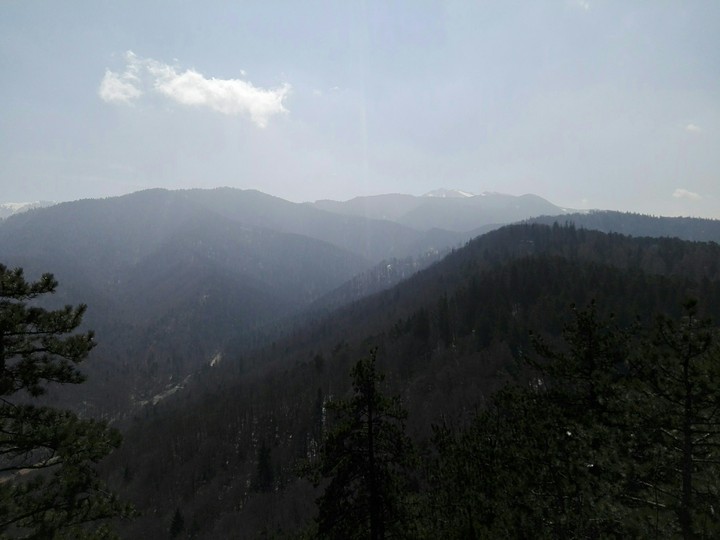 Carpathians