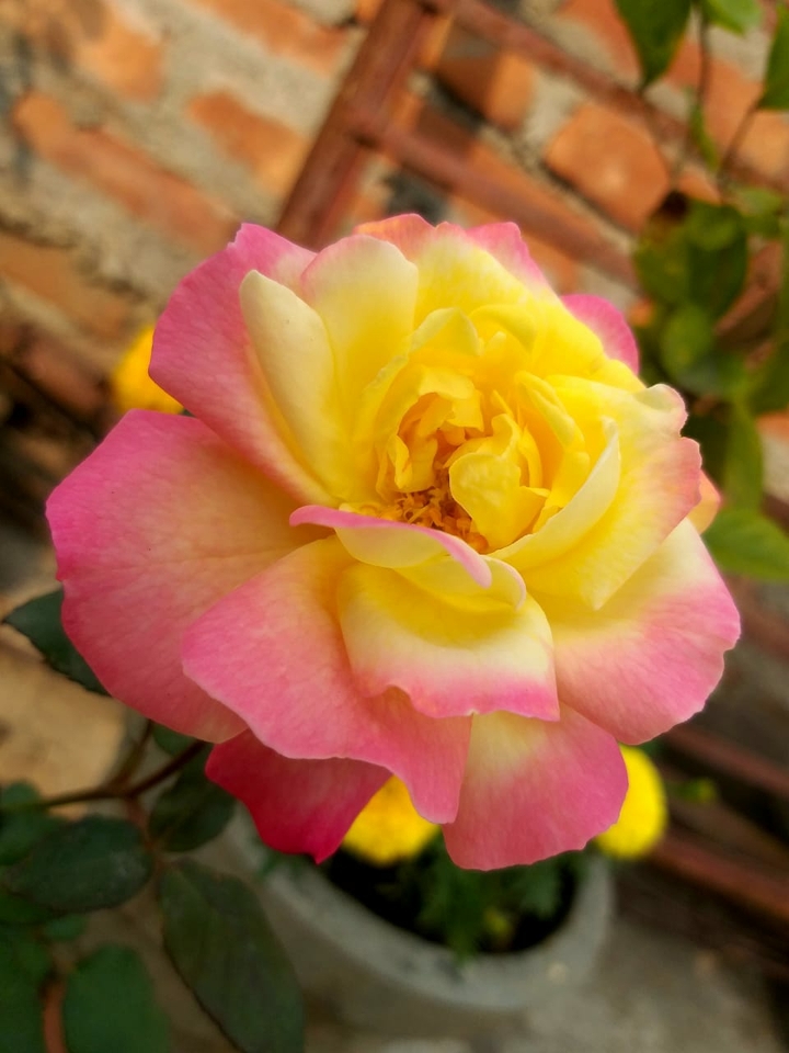 my own photography