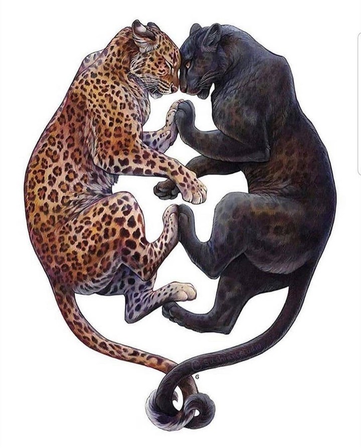 Part of the same soul