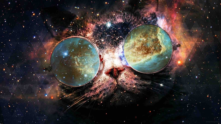 Universal Cat