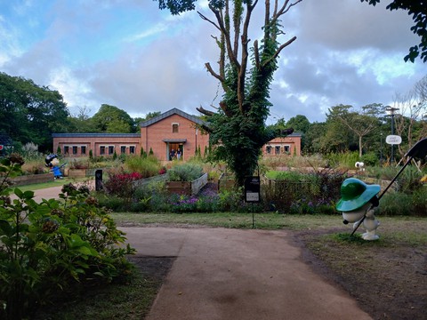 grass, 陸地桌布