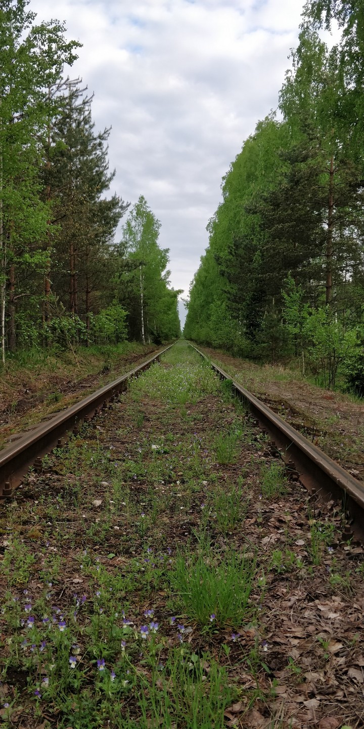 ЖД